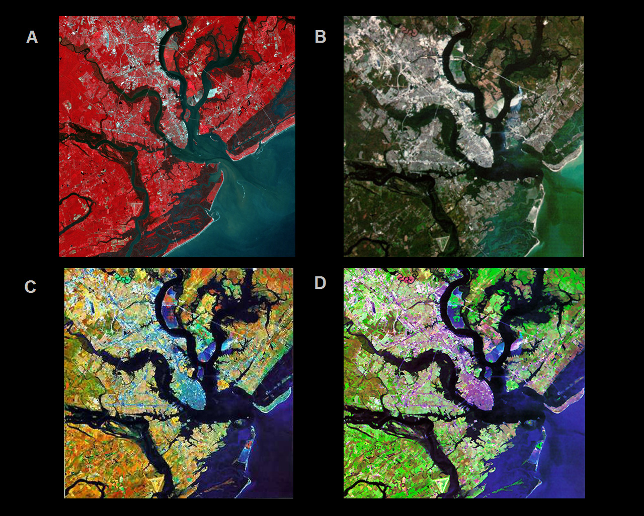 remote-sensing-and-gis-applications-of-remote-sensing-byju-s